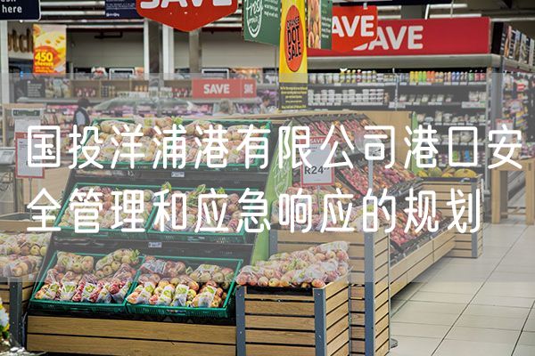 国投洋浦港有限公司港口安全管理和应急响应的规划