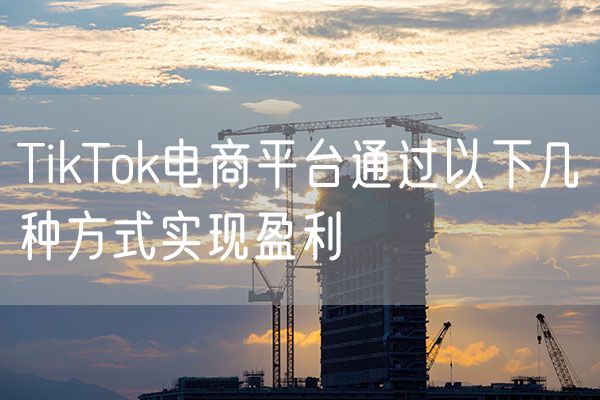 TikTok电商平台通过以下几种方式实现盈利