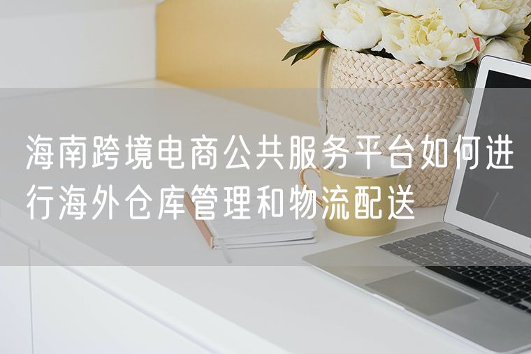 海南跨境电商公共服务平台如何进行海外仓库管理和物流配送
