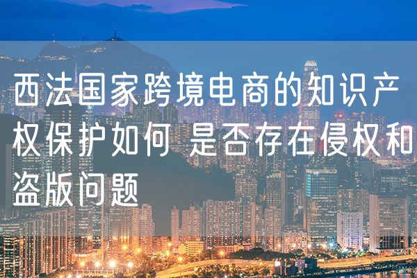 西法国家跨境电商的知识产权保护如何 是否存在侵权和盗版问题