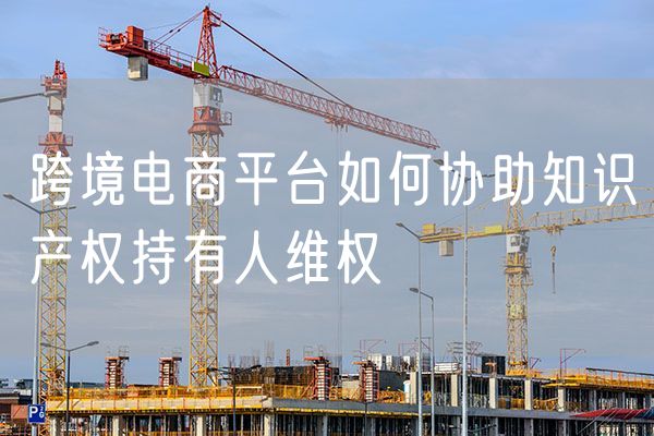 跨境电商平台如何协助知识产权持有人维权