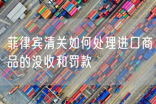 菲律宾清关如何处理进口商品的没收和罚款