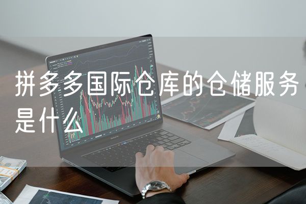 拼多多国际仓库的仓储服务是什么
