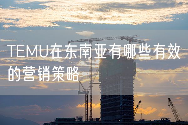 TEMU在东南亚有哪些有效的营销策略