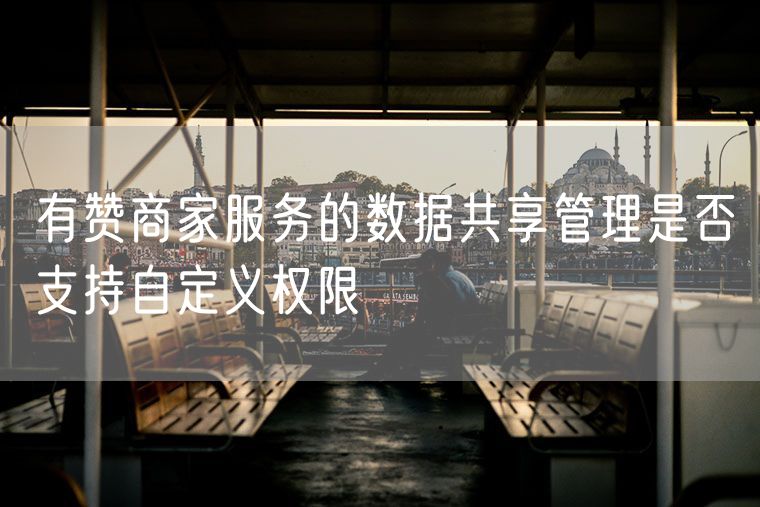 有赞商家服务的数据共享管理是否支持自定义权限