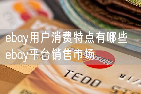 ebay用户消费特点有哪些  ebay平台销售市场