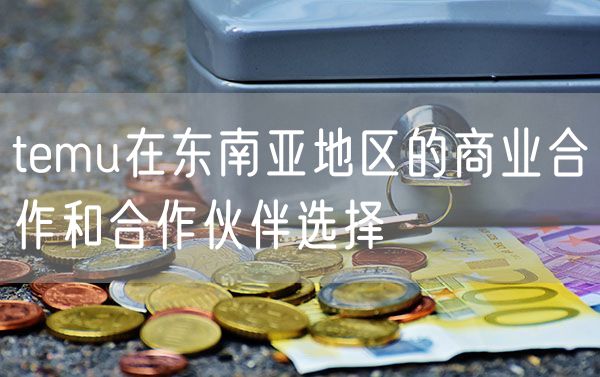 temu在东南亚地区的商业合作和合作伙伴选择