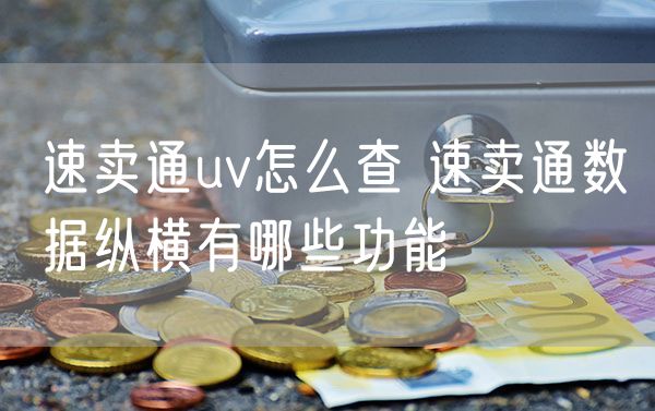 速卖通uv怎么查 速卖通数据纵横有哪些功能