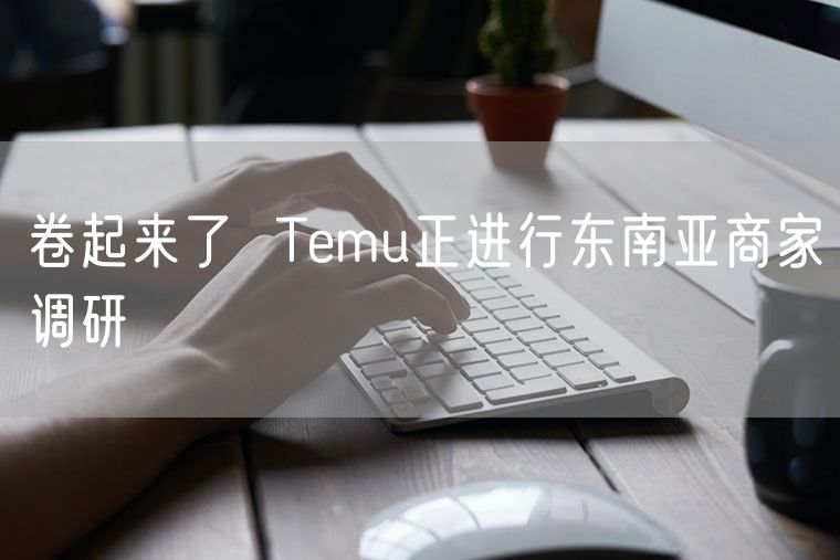 卷起来了  Temu正进行东南亚商家调研