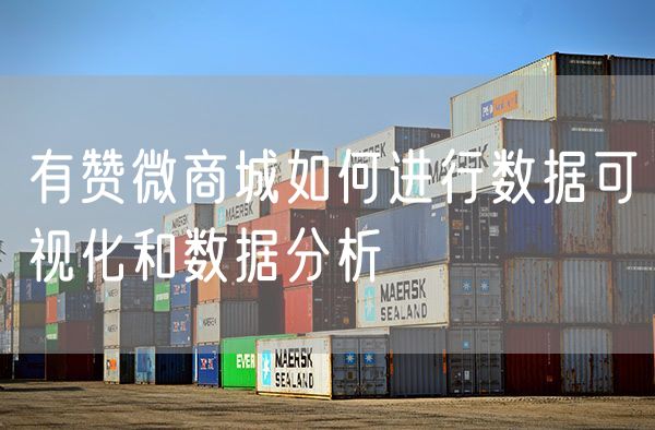 有赞微商城如何进行数据可视化和数据分析