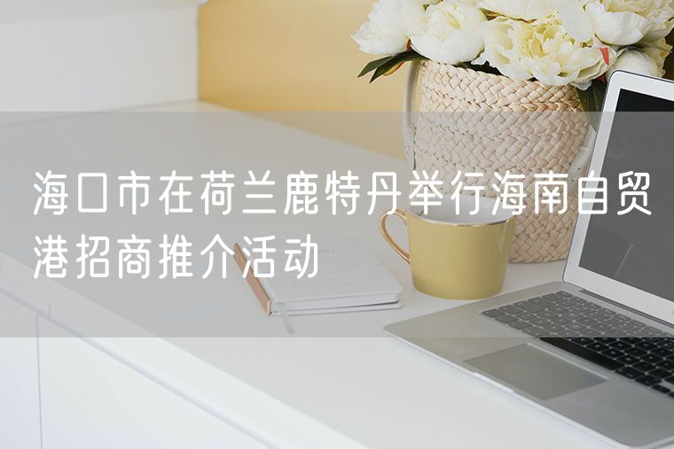 海口市在荷兰鹿特丹举行海南自贸港招商推介活动