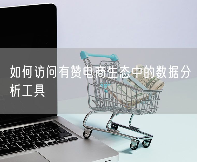 如何访问有赞电商生态中的数据分析工具