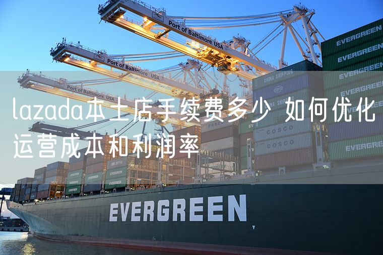 lazada本土店手续费多少 如何优化运营成本和利润率