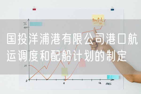 国投洋浦港有限公司港口航运调度和配船计划的制定