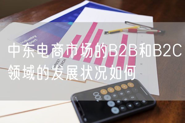 中东电商市场的B2B和B2C领域的发展状况如何