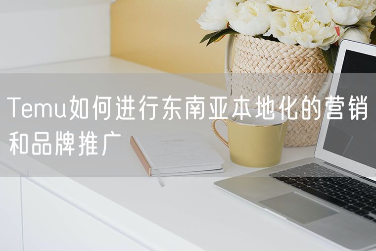 Temu如何进行东南亚本地化的营销和品牌推广