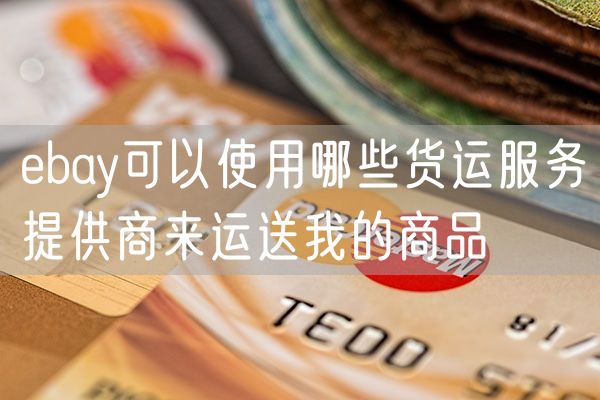 ebay可以使用哪些货运服务提供商来运送我的商品