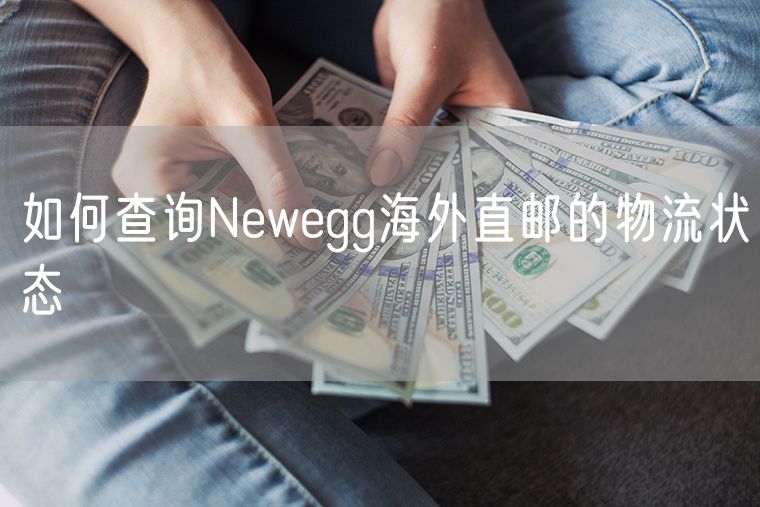 如何查询Newegg海外直邮的物流状态