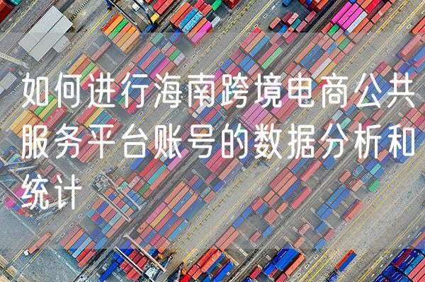 如何进行海南跨境电商公共服务平台账号的数据分析和统计