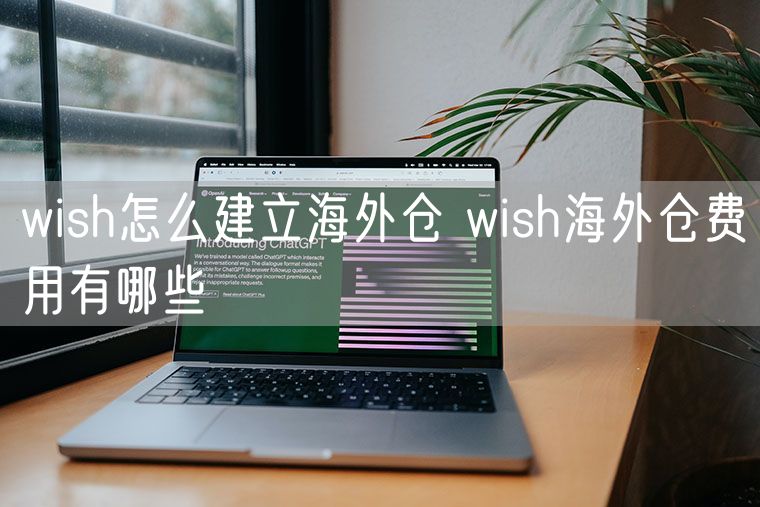 wish怎么建立海外仓 wish海外仓费用有哪些