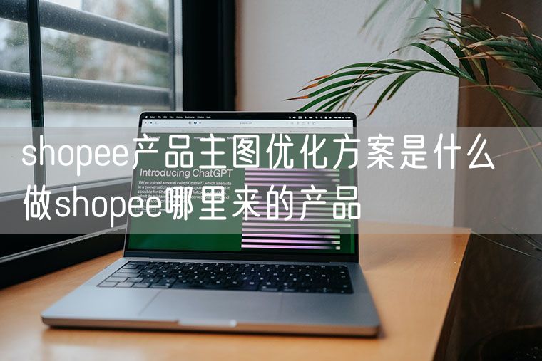 shopee产品主图优化方案是什么  做shopee哪里来的产品