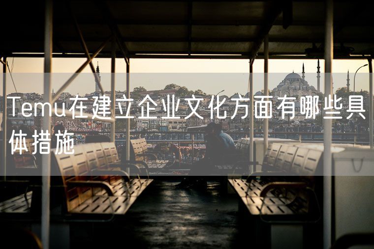 Temu在建立企业文化方面有哪些具体措施