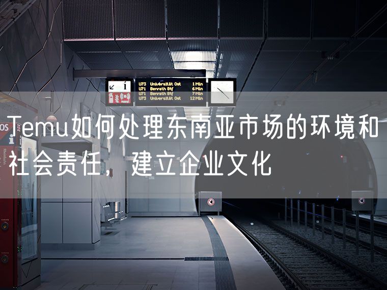 Temu如何处理东南亚市场的环境和社会责任，建立企业文化