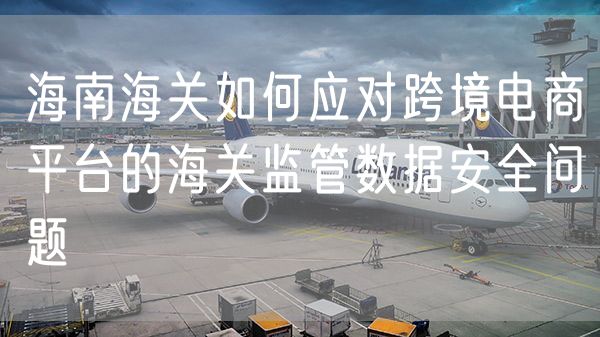 海南海关如何应对跨境电商平台的海关监管数据安全问题
