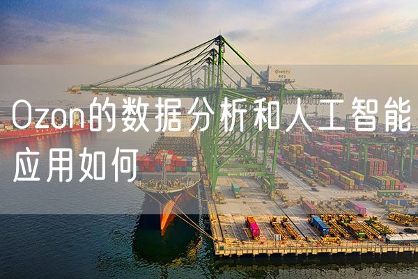 Ozon的数据分析和人工智能应用如何