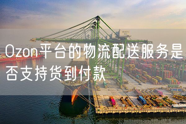 Ozon平台的物流配送服务是否支持货到付款