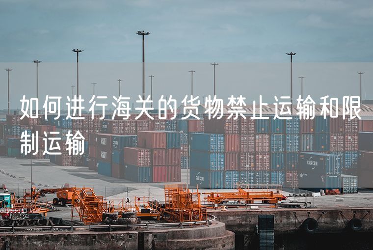 如何进行海关的货物禁止运输和限制运输