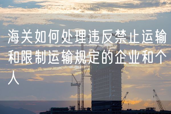 海关如何处理违反禁止运输和限制运输规定的企业和个人