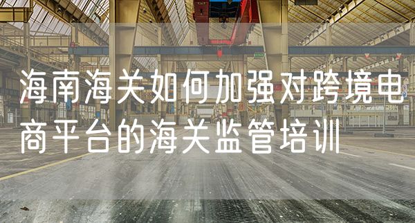 海南海关如何加强对跨境电商平台的海关监管培训