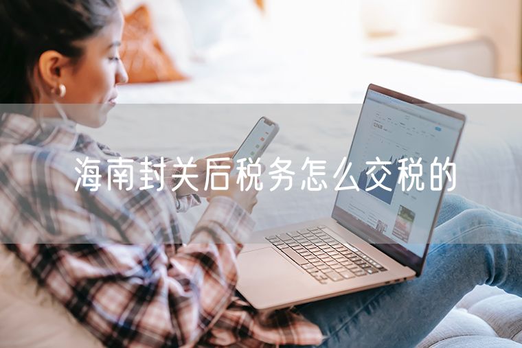 海南封关后税务怎么交税的