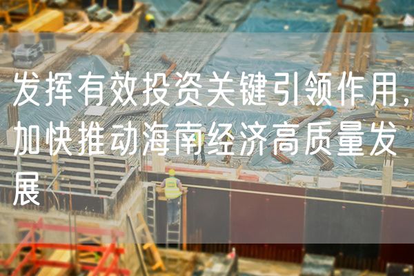 发挥有效投资关键引领作用，加快推动海南经济高质量发展