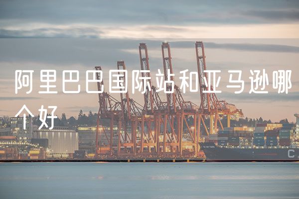 阿里巴巴国际站和亚马逊哪个好