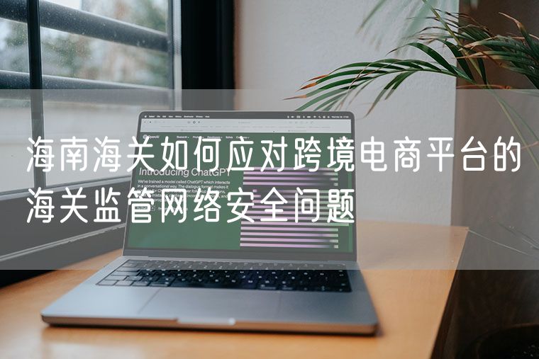 海南海关如何应对跨境电商平台的海关监管网络安全问题