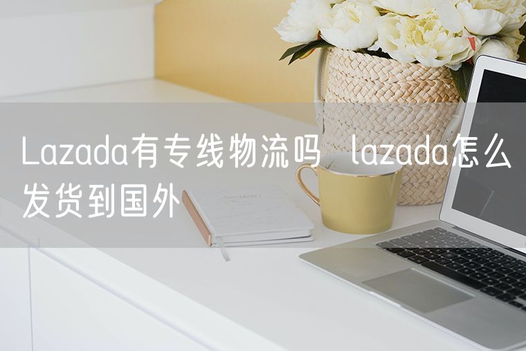 Lazada有专线物流吗  lazada怎么发货到国外