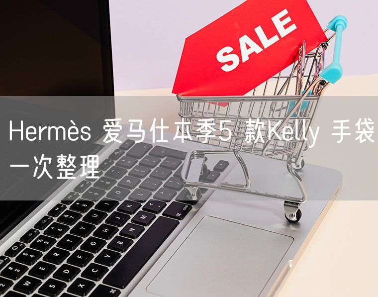 Hermès 爱马仕本季5 款Kelly 手袋一次整理