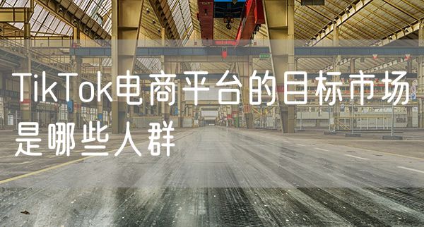 TikTok电商平台的目标市场是哪些人群