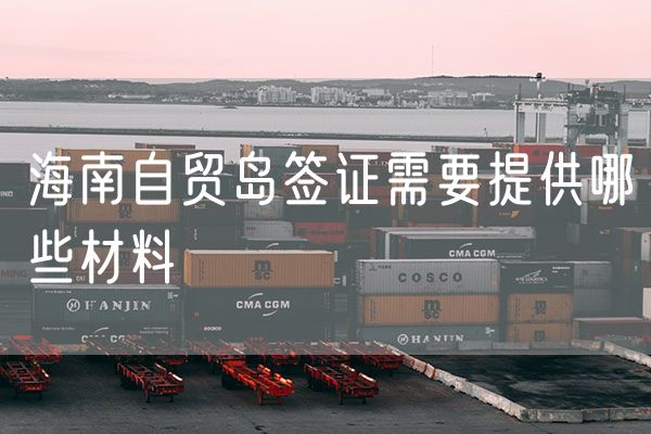 海南自贸岛签证需要提供哪些材料