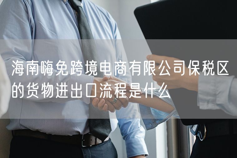 海南嗨免跨境电商有限公司保税区的货物进出口流程是什么