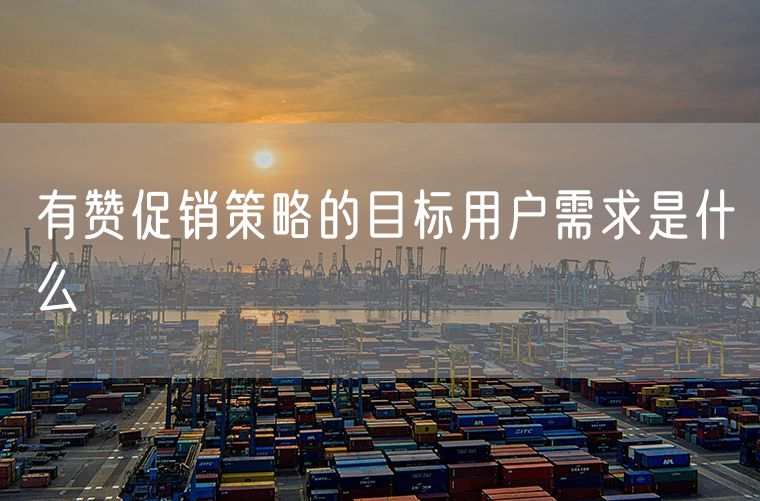 有赞促销策略的目标用户需求是什么