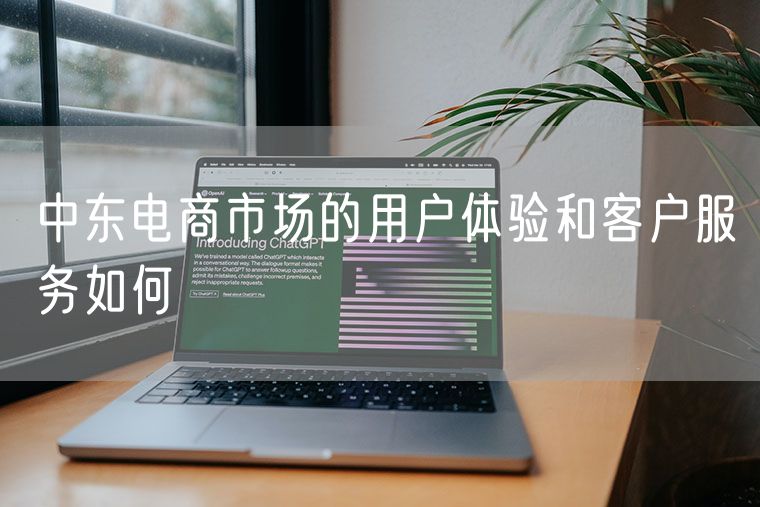 中东电商市场的用户体验和客户服务如何