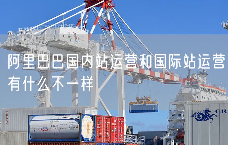 阿里巴巴国内站运营和国际站运营有什么不一样