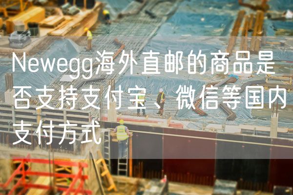 Newegg海外直邮的商品是否支持支付宝、微信等国内支付方式