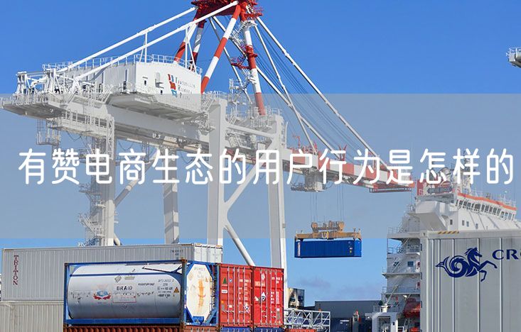 有赞电商生态的用户行为是怎样的