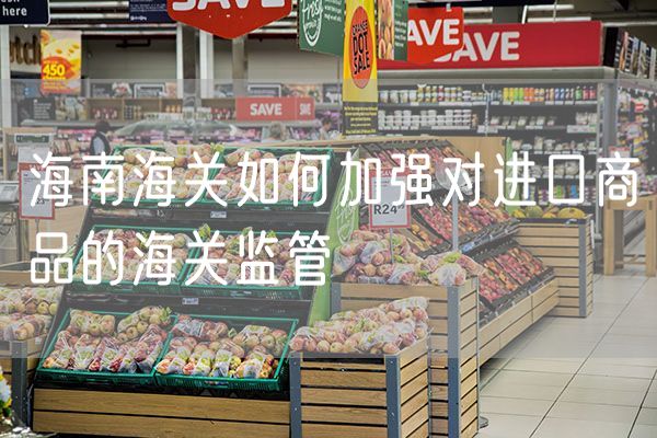 海南海关如何加强对进口商品的海关监管