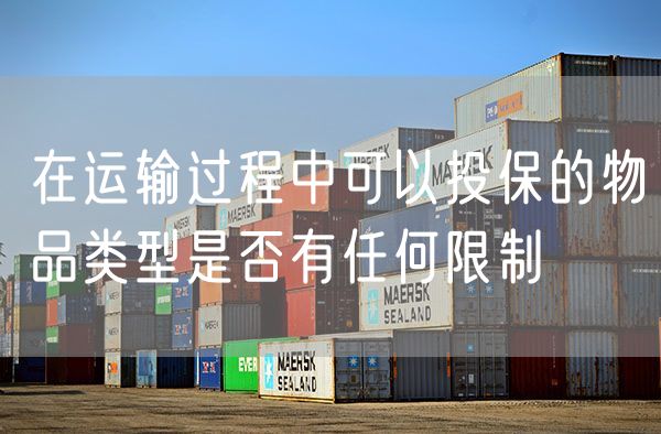 在运输过程中可以投保的物品类型是否有任何限制