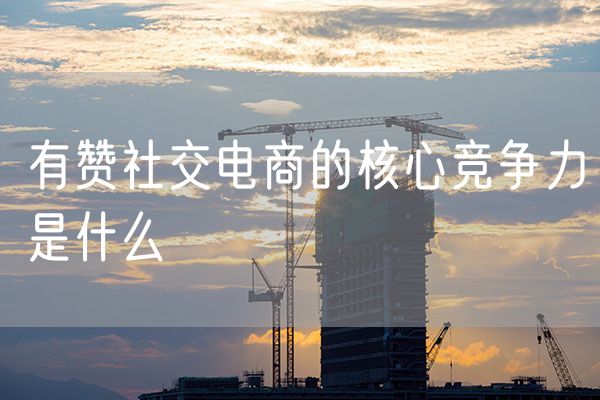 有赞社交电商的核心竞争力是什么
